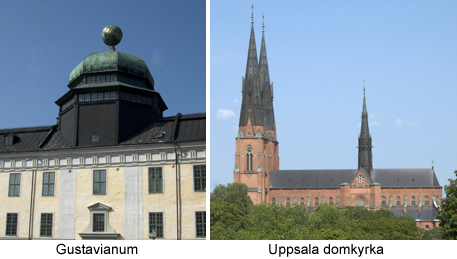 Gustavianum och Domkyrkan